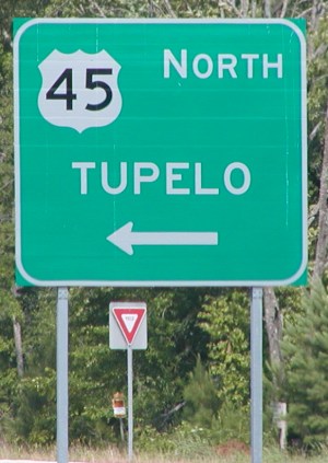 US 45 North sign.